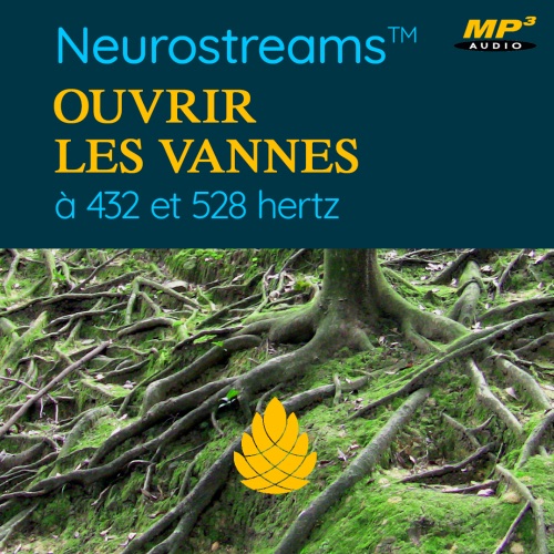 Neurostreams™ Ouvrir les Vannes — visuel