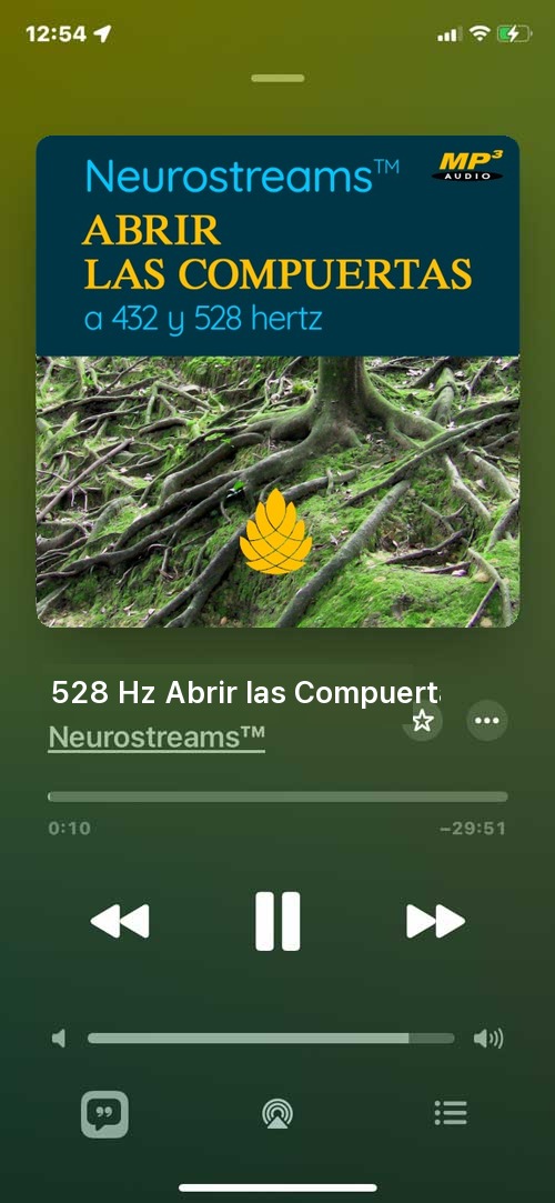 Abrir las Compuertas para la tensión arterial en el smartphone