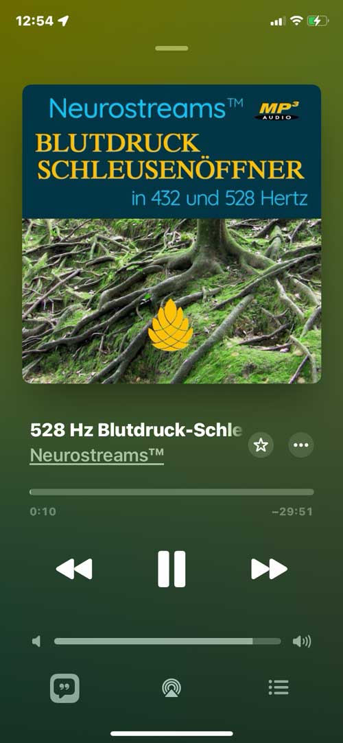 Blutdruck-Schleusenöffner auf dem Smartphone