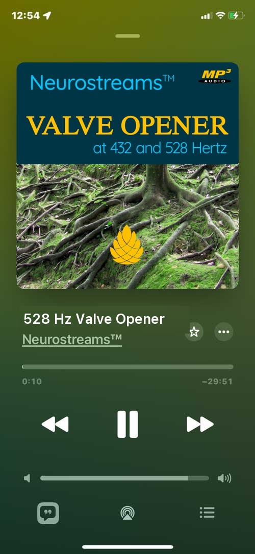 Valve Opener on a smartphone