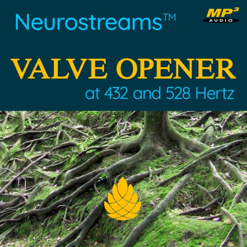 Neurostreams™ Valve Opener — cover